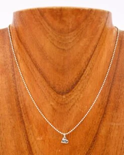 16" Sterling Silver WTF Necklace