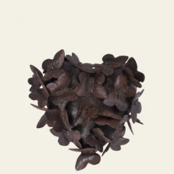 Jan Barboglio Marie Madeleine Box