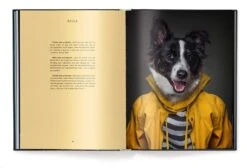 DOG PEOPLE BOOK -Steelers Style 51SQL3vZ44L