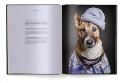 DOG PEOPLE BOOK -Steelers Style 51ab3cjAozL
