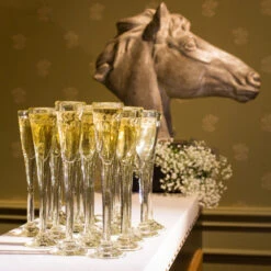 JAN BARBOGLIO TALL CHAMPAGNE CLEAR FLUTE -Steelers Style 5514CL L3 1024x1024 64f3efc5 6c17 4659 a1e0 04922a6c3f32