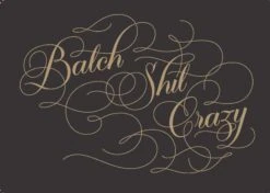 CLASSY AS FUCK COCKTAILS BOOK -Steelers Style 71NTv78Q7LL