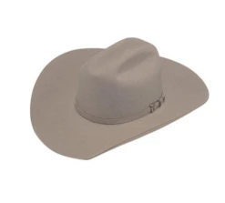 TWISTER DOUBLE S 20X BUCKLE BAND FUR FELT WESTERN HAT