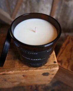 RYAN HOUSE DESERT FLOWER CANDLE -Steelers Style image 2cc5659e 9d48 428b 9dc8 1f12c09dd667