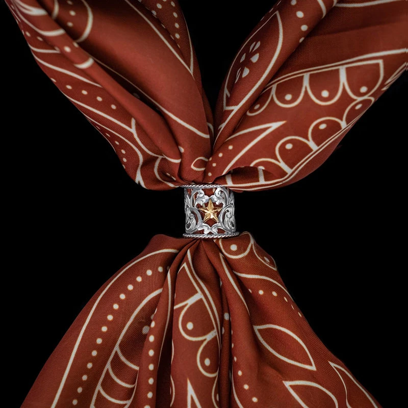 VOGT THE LONE STAR SCARD SLIDE 1 VOGT THE LONE STAR SCARD SLIDE